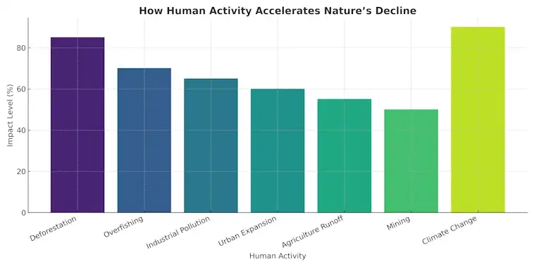 How Human Activity Accelerates Natures Decline