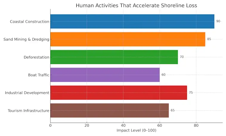 The Human Activities That Accelerate Shoreline Loss