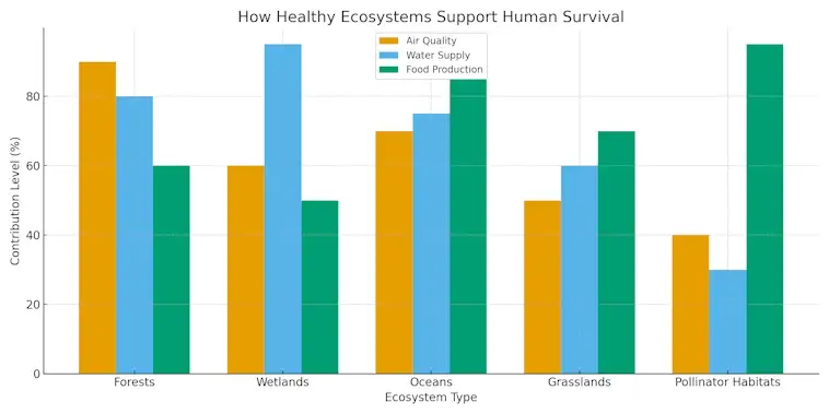 How Healthy Ecosystems Support Human Survival