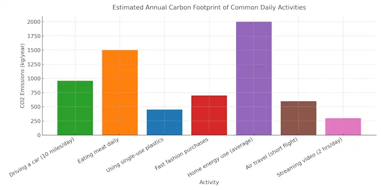 Estimated Annual Carbon Footprint of Common Daily Activities