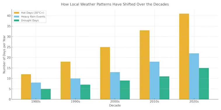 How Local Weather Patterns Have Shifted Over the Decades