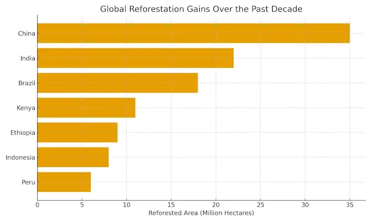 The Global Reforestation Gains Over the Past Decade