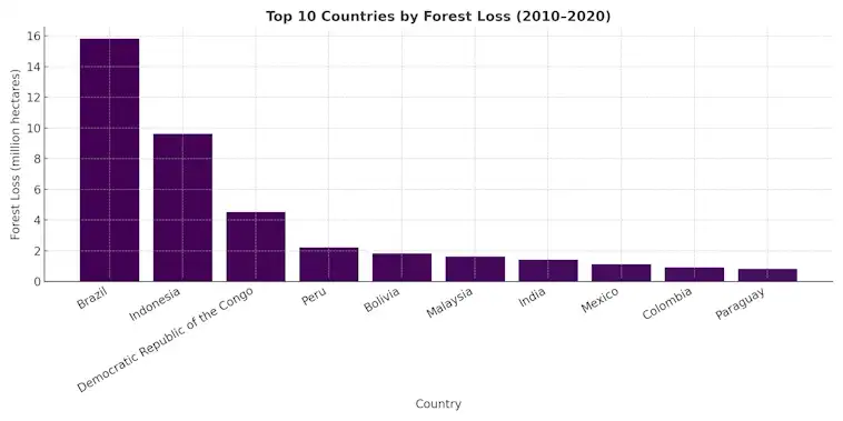 The Top 10 Countries by Forest Loss