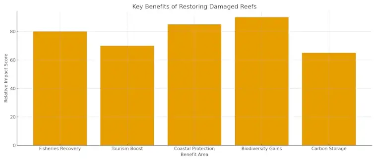 The Key Benefits of Restoring Damaged reefs