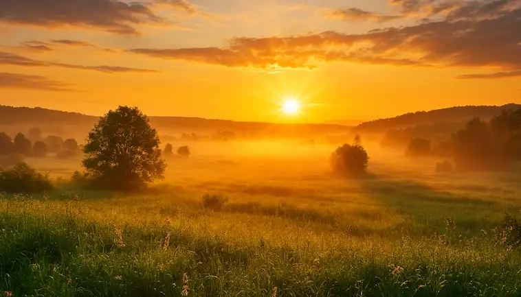 Nature Resilience Can Shape a Safer Future