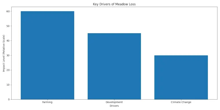 The Key Drivers of Meadow Loss