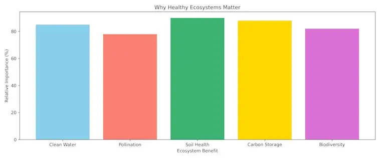 Why Health Ecosystems Matter