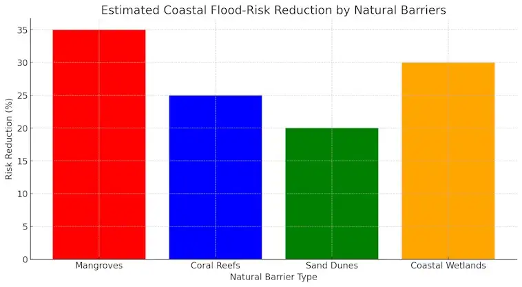 The Coastal Flood-Risk Reduction by Natural Barriers