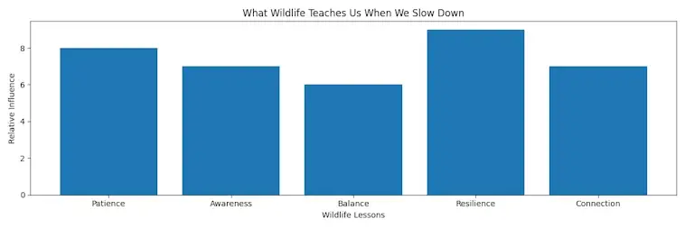 What Wildlife Teaches Us When We Slow Down