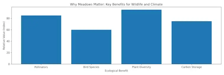 Why Meadows Matter for Wildlife and Climate