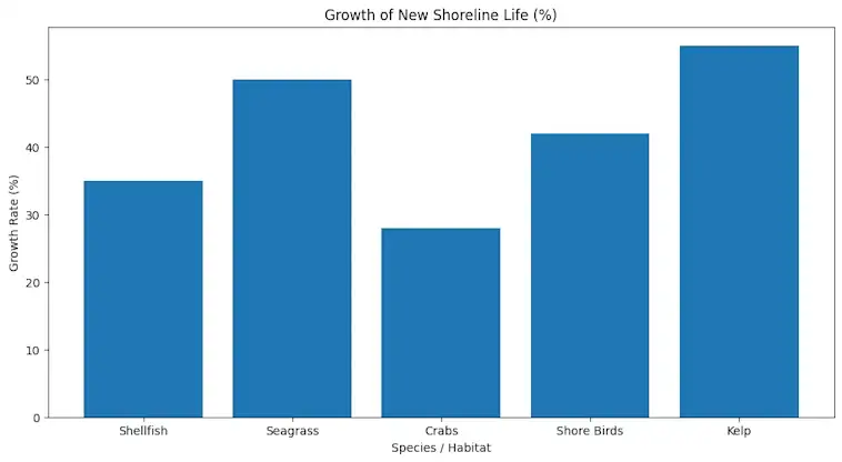 The Growth of New Shoreline Life