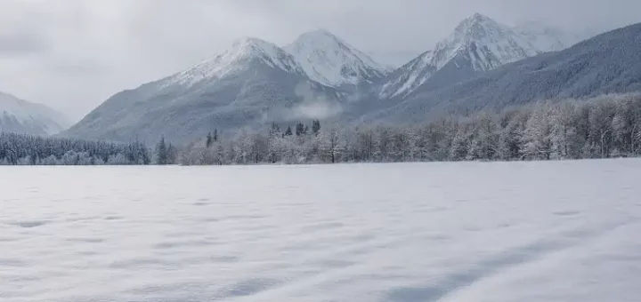 Snow Fields Secrets