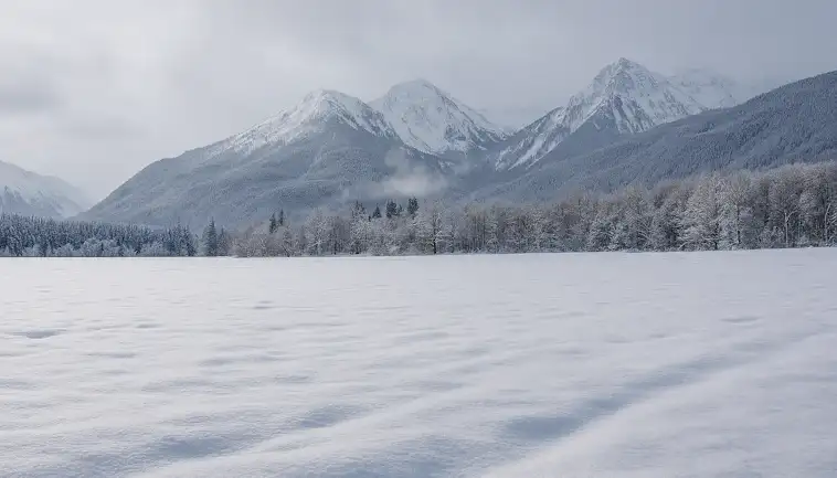 Snow Fields Secrets