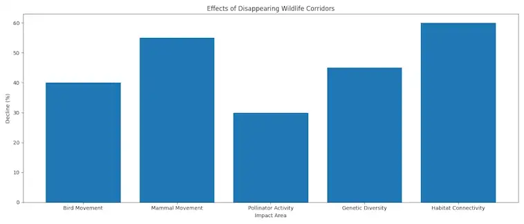 The Effects of Disappearing Wildlife Corridors