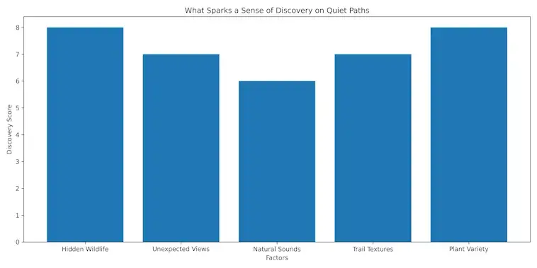 What Sparks a Sense of Discovery on Quiet Paths