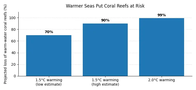 How Warmer Seas Put Coral Reefs at Risk