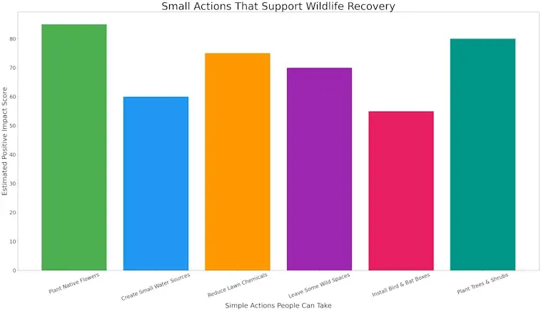 The Small Actions That Support Wildlife Recovery