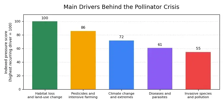 The Main Drvers Behind the Pollinator Crisis