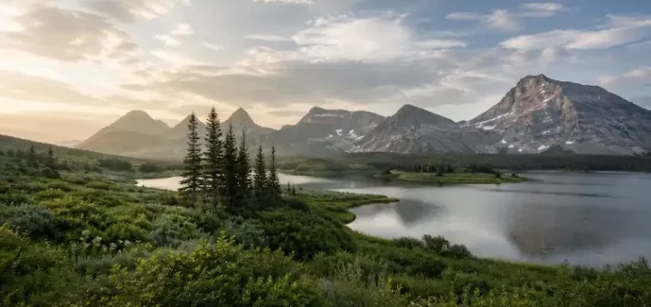 The Natural Ecosystem