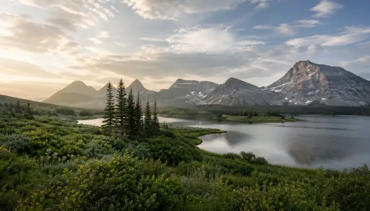 The Natural Ecosystem