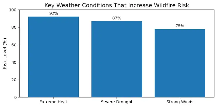 The Key Weather Conditions That Increase Wildfire Risk