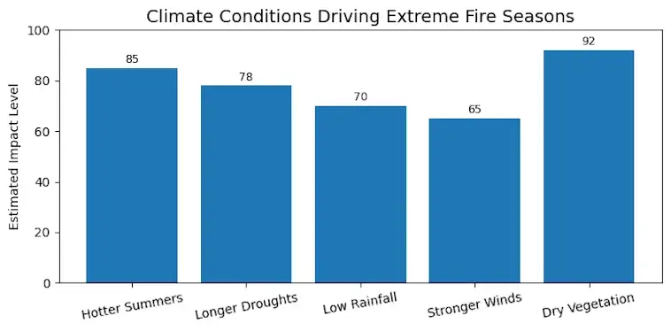 The Climate Conditions Driving Extreme Fire Seasons