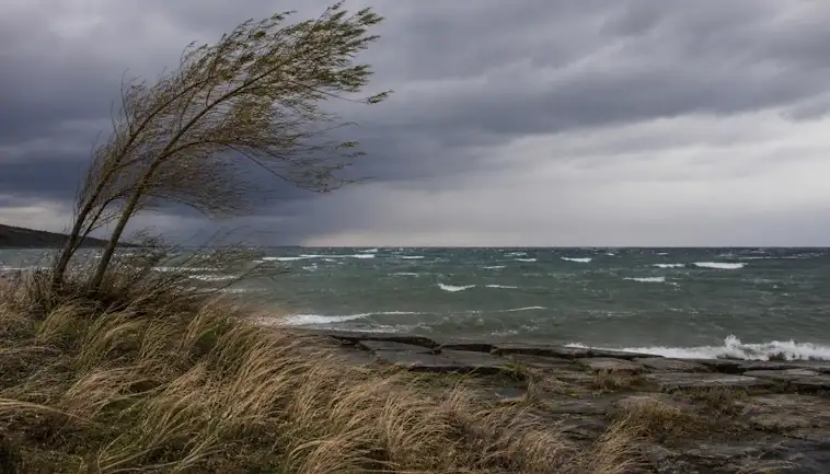 Wind Gusts