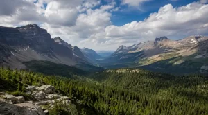 Planet Life: What Humanity Must Understand Now