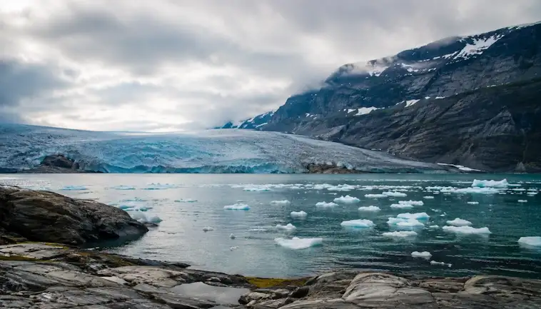 The Wild Beauty of the Glacial Coast