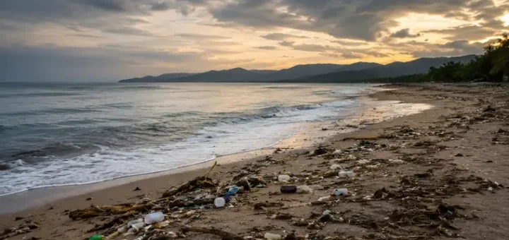 Global Pollution Is Destroying the Places we Love
