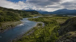 Nature Rights Offer New Hope for a Dying Planet